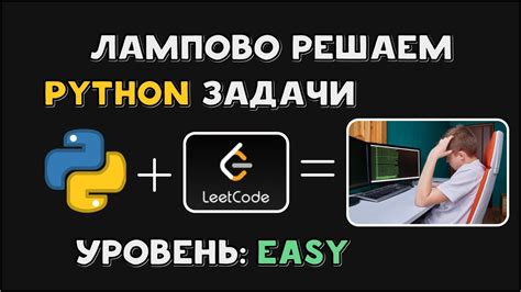 Год решал задачи на LeetCode .